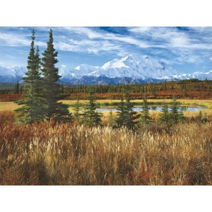 Puzzle Parque Nacional Denali, 1500 piezas