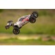 TROPHY BUGGY FLUX RTR 2.4GHZ