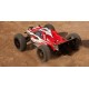 TROPHY TRUGGY FLUX RTR 2.4GHZ