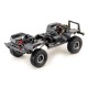 Crawler 1:10 EP CR3.4 "LANDI" Grey RTR - LIMITED EDITION