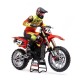 LOSI 1/4 Promoto MX Motorcycle RTR FXR