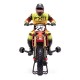 LOSI 1/4 Promoto MX Motorcycle RTR FXR